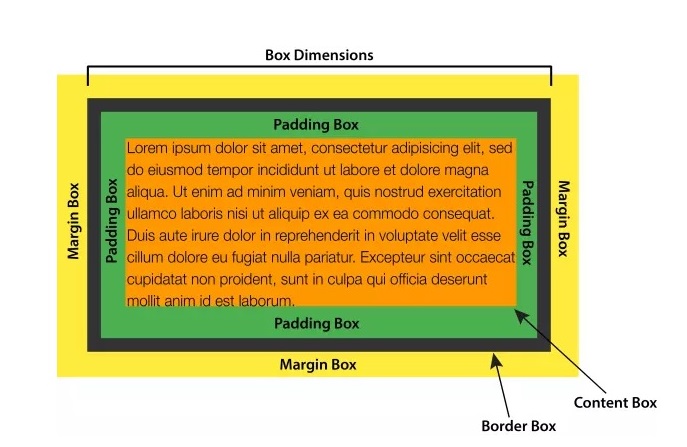 box model image